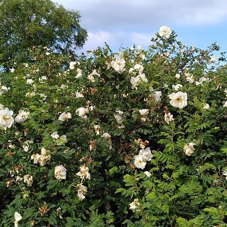 Lilla Mysstuga I Havsnaera Варбери Екстериор снимка